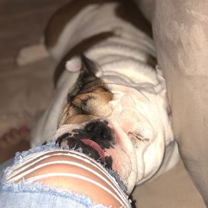 Meet your Posher, Kara